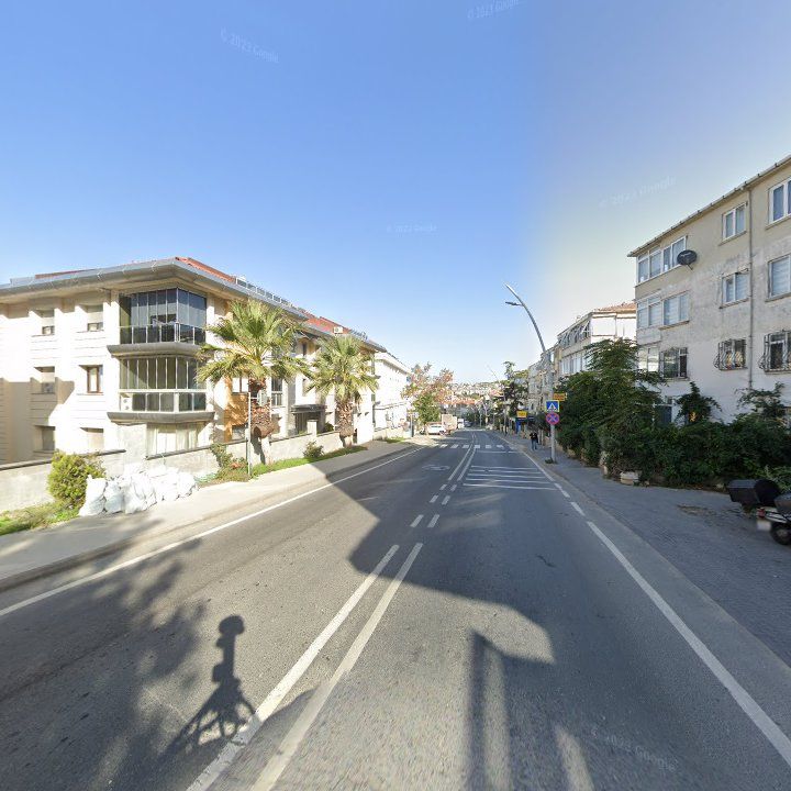 Fotoğraf 10