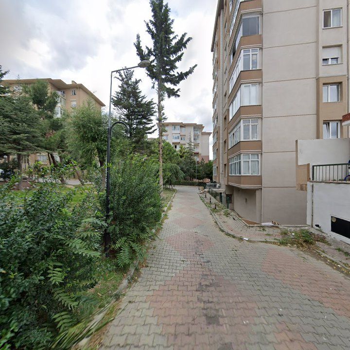 Fotoğraf 9