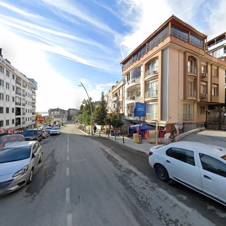 Fotoğraf 10