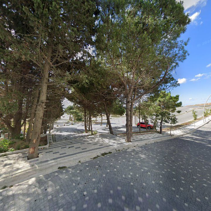 Fotoğraf 11