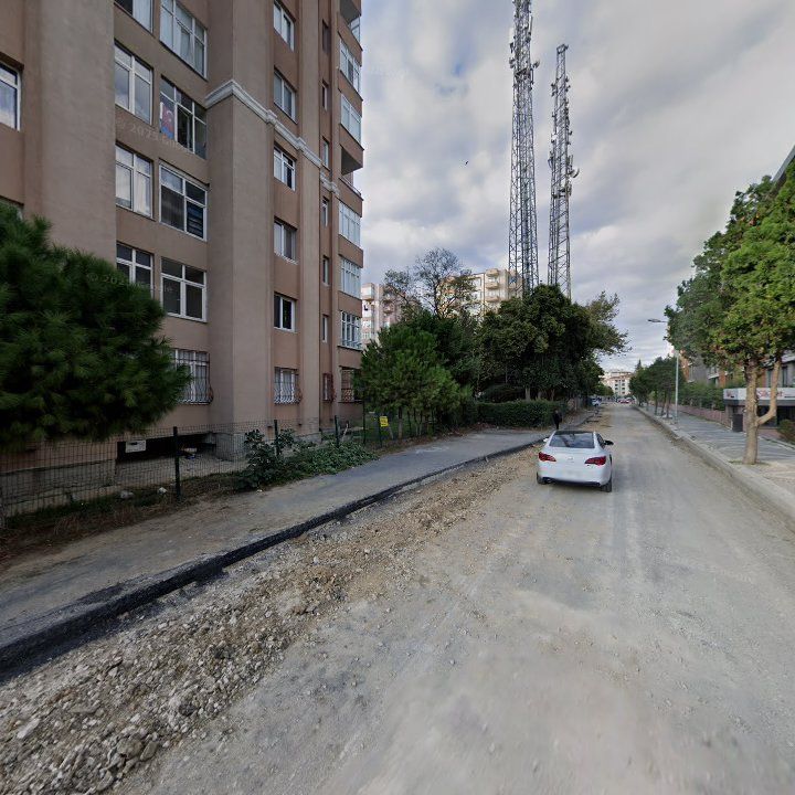Fotoğraf 11