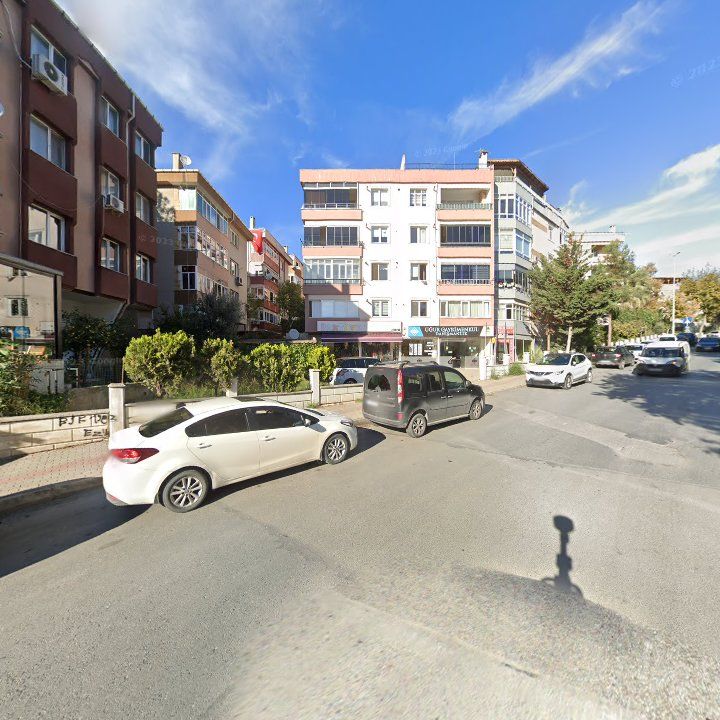 Fotoğraf 12