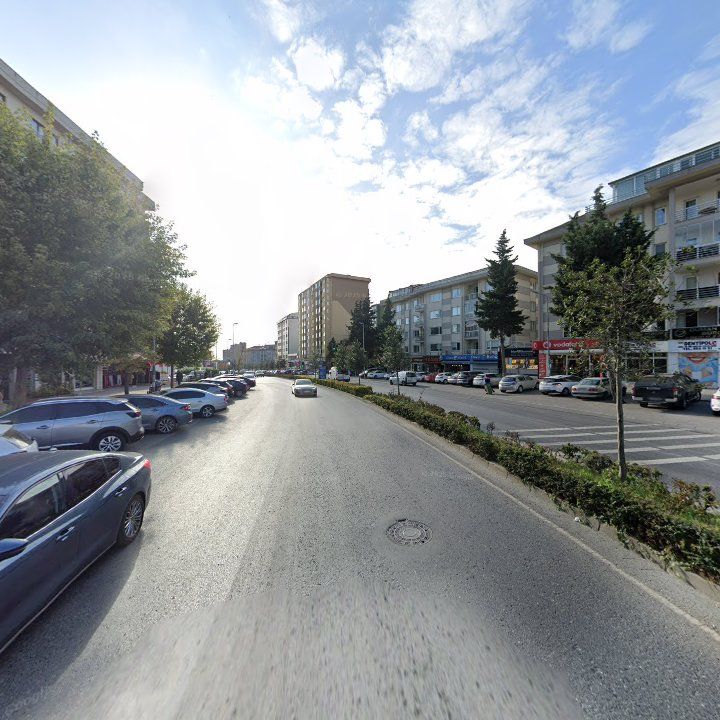 Fotoğraf 10