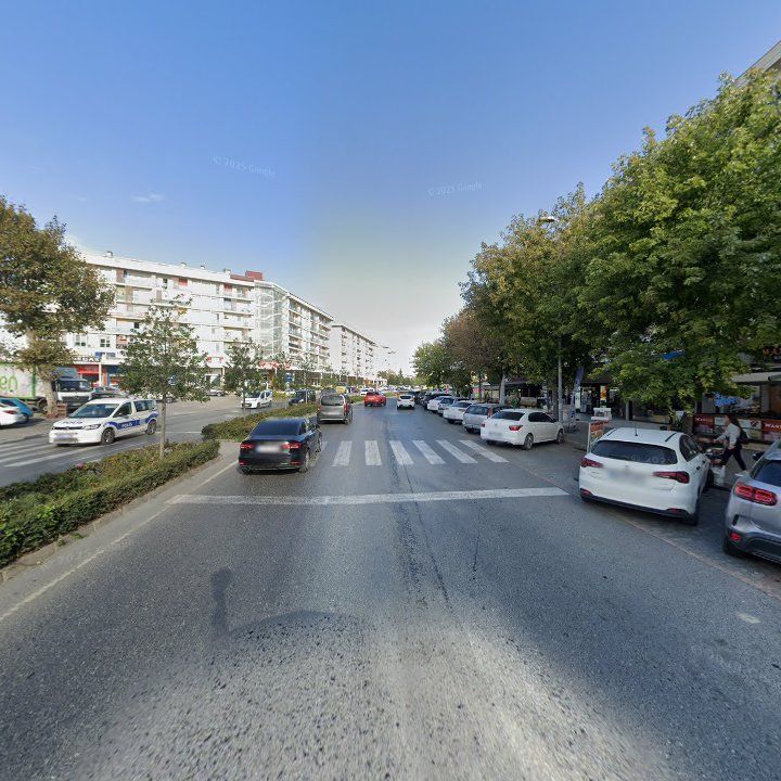 Fotoğraf 12