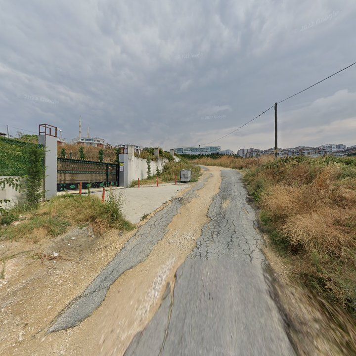 Fotoğraf 6