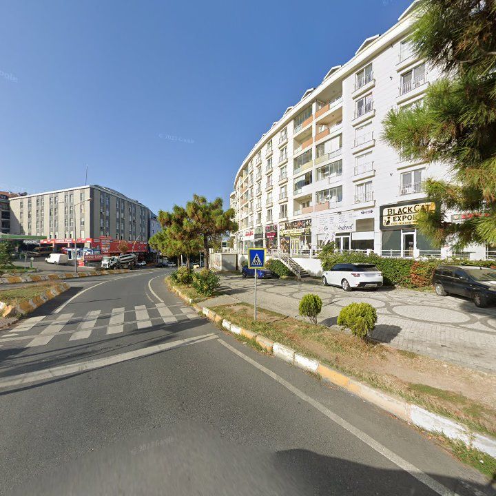 Fotoğraf 11