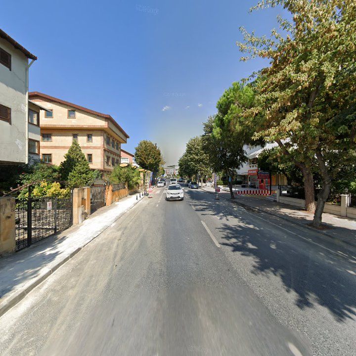 Fotoğraf 10