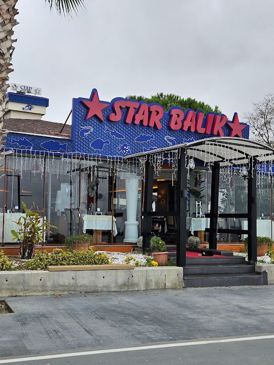 Star Balık