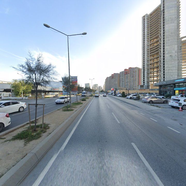 Fotoğraf 16