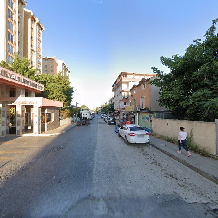 Fotoğraf 12