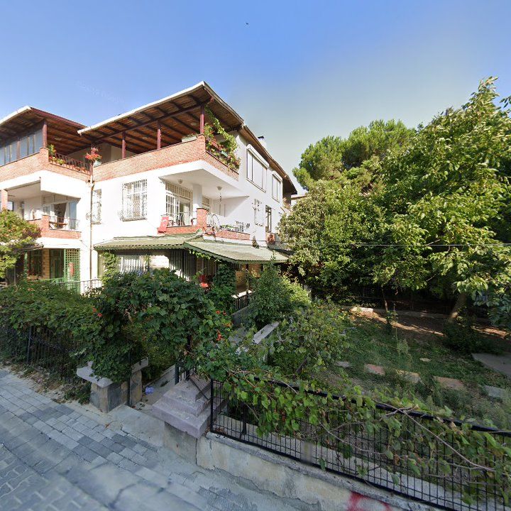 Fotoğraf 10
