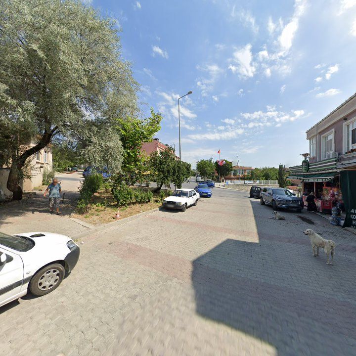Fotoğraf 8