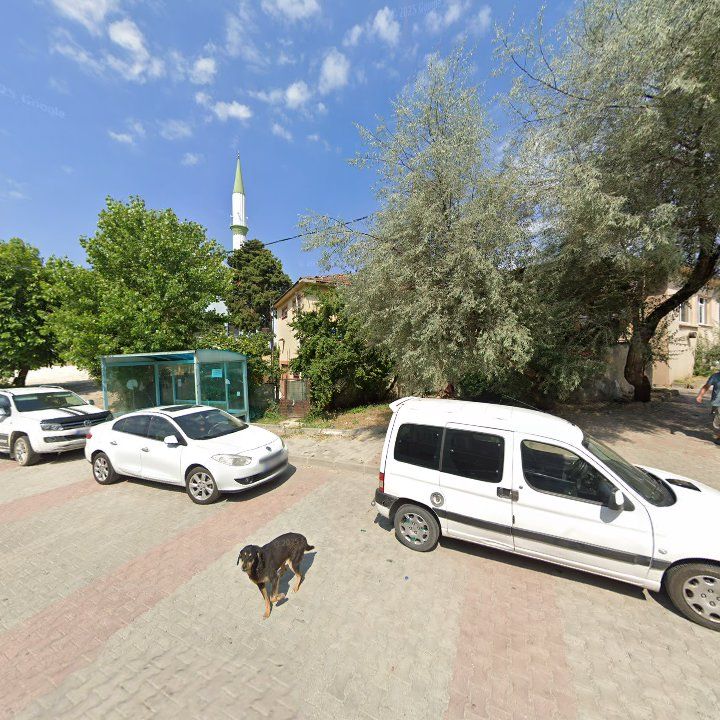 Fotoğraf 7