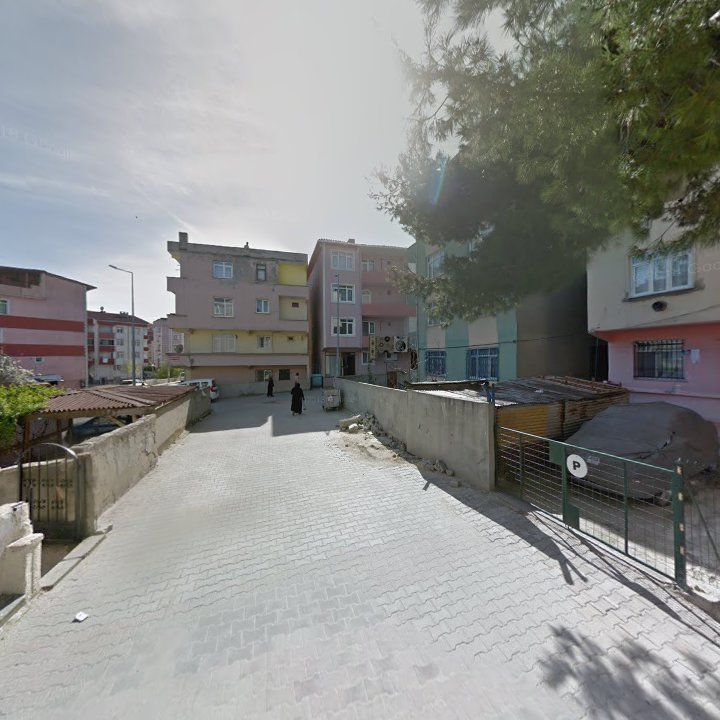 Fotoğraf 7