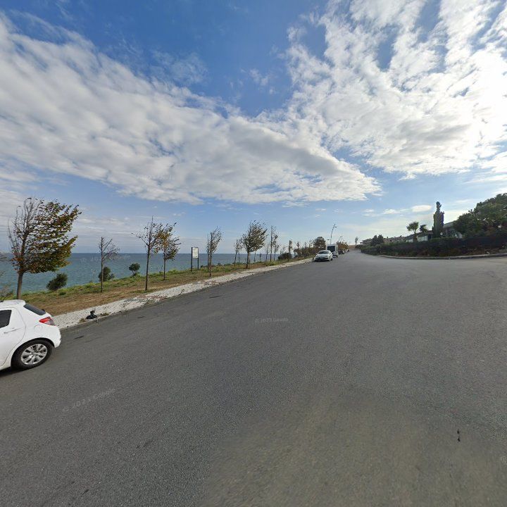 Fotoğraf 11