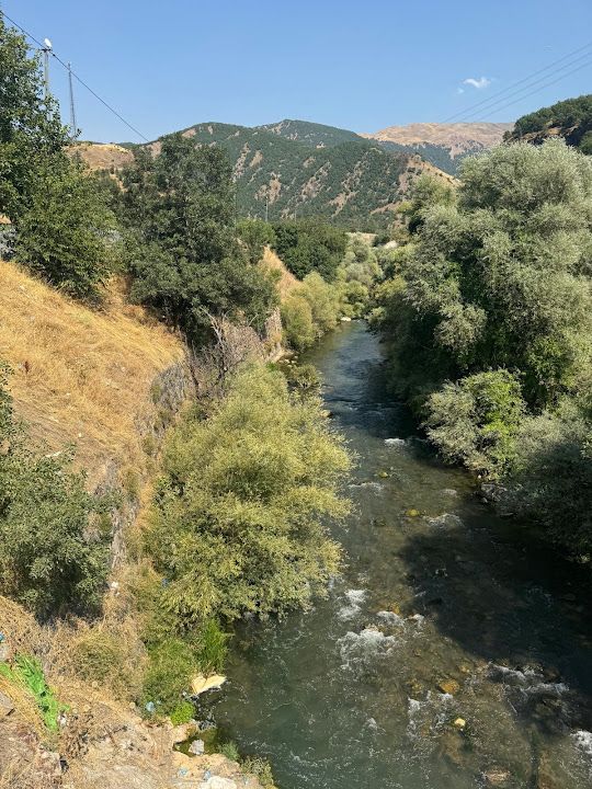 Yorum fotoğrafı 4
