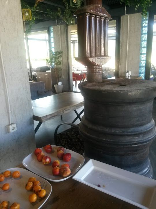 Fotoğraf 22