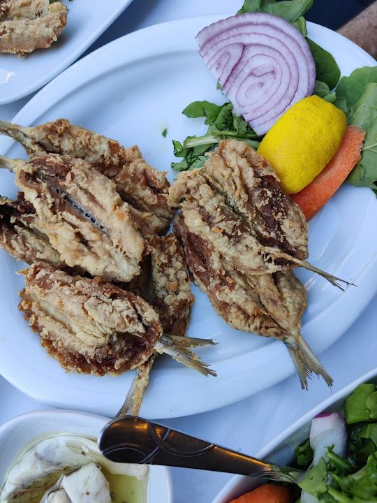Fotoğraf 17