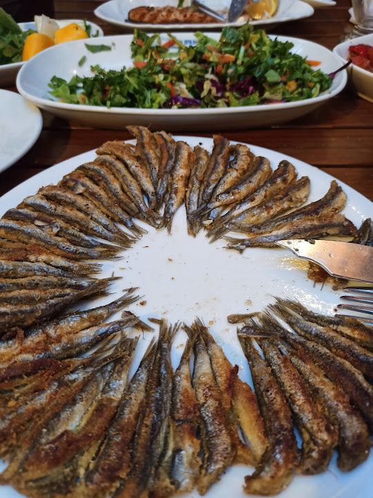 Fotoğraf 21