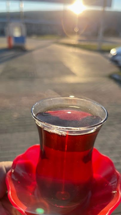 Fotoğraf 23