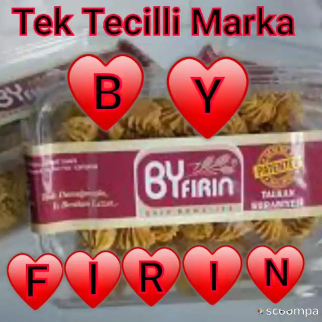 Fotoğraf 15