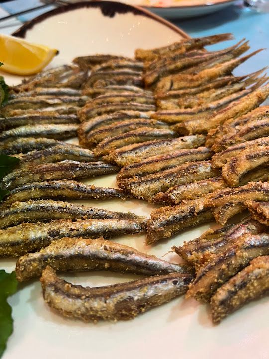 Fotoğraf 31