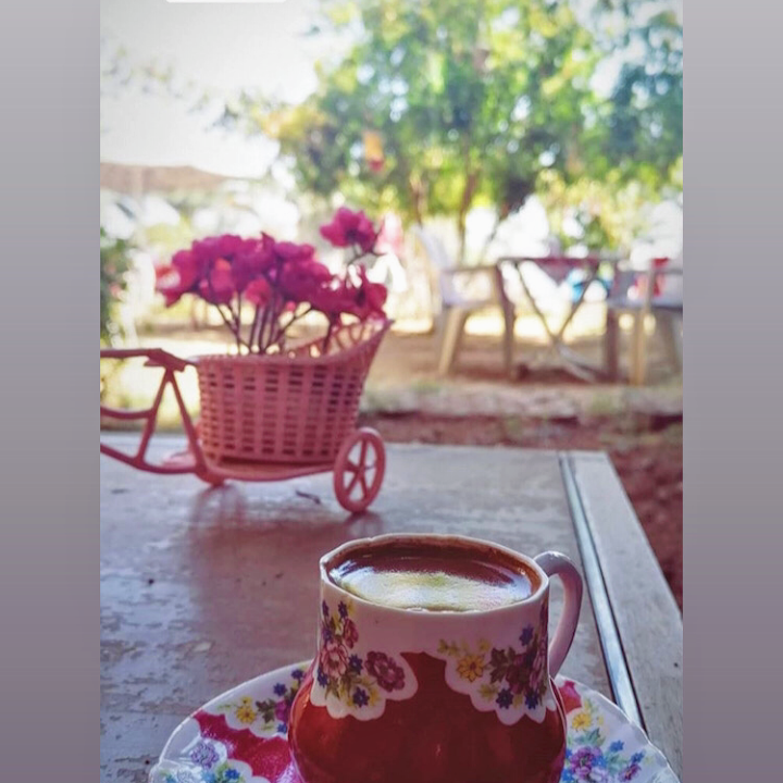 Fotoğraf 16