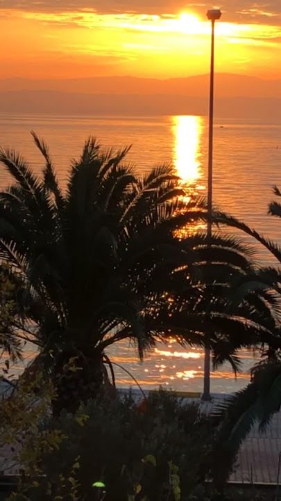 Fotoğraf 12