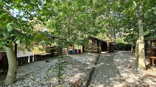 Yorum fotoğrafı 4