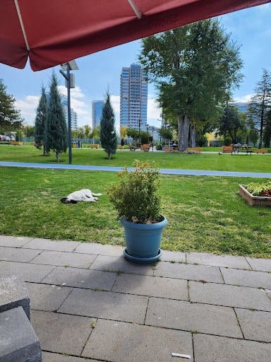 Fotoğraf 21