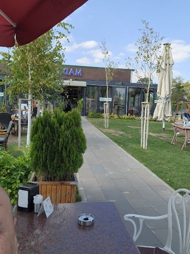 Fotoğraf 22