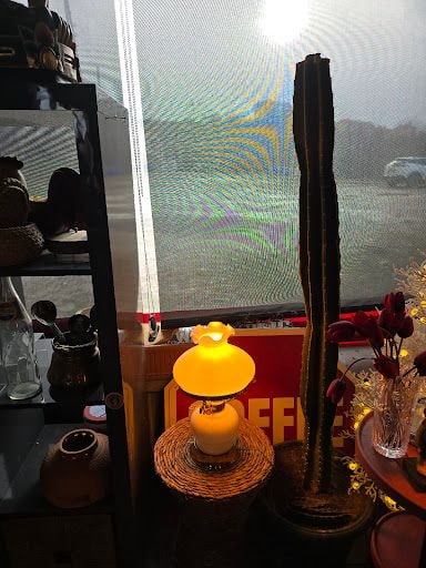 Yorum fotoğrafı 7