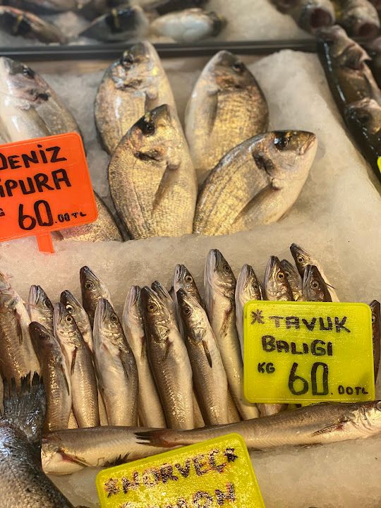 Fotoğraf 17