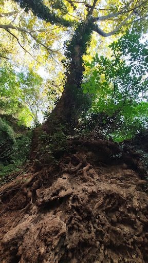 Yorum fotoğrafı 4