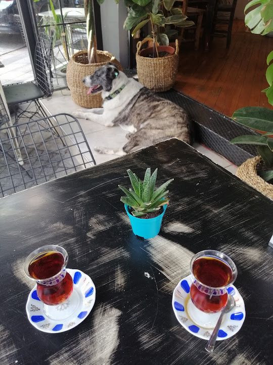 Fotoğraf 32