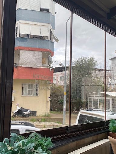 Fotoğraf 12