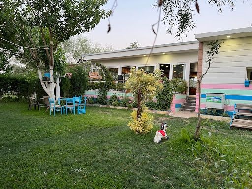 Fotoğraf 28
