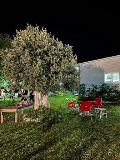 Fotoğraf 30