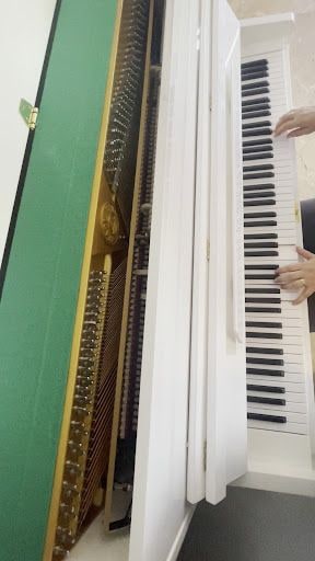 Yorum fotoğrafı 6
