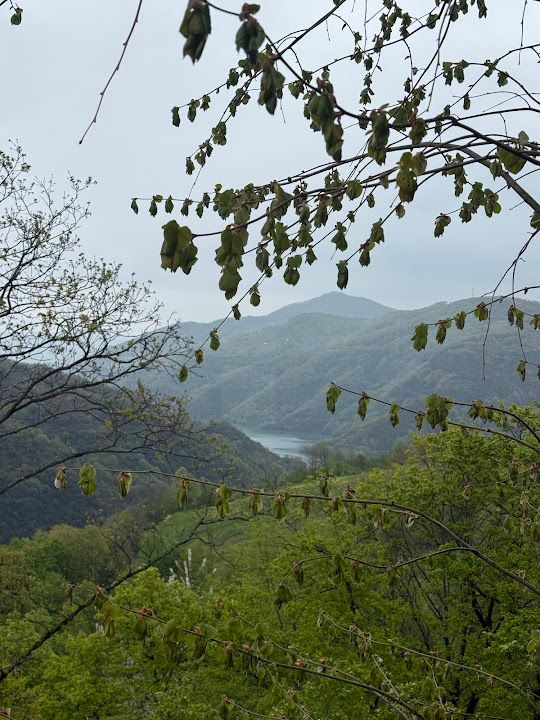 Fotoğraf 16