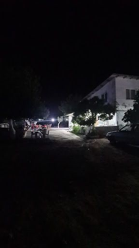 Fotoğraf 22