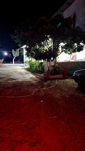 Fotoğraf 24