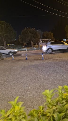 Fotoğraf 27
