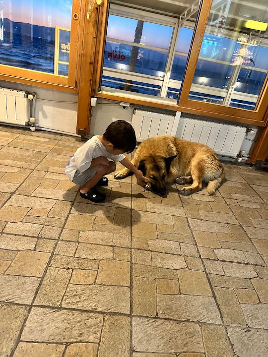 Yorum fotoğrafı 3