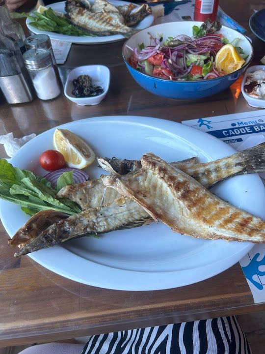 Yorum fotoğrafı 3