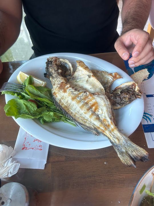 Yorum fotoğrafı 4