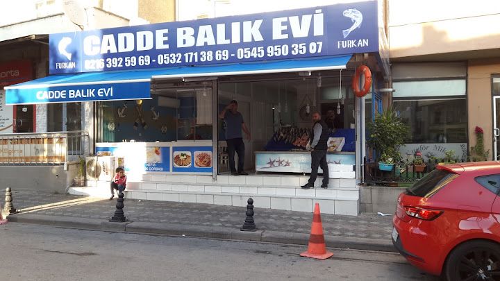 Fotoğraf 23