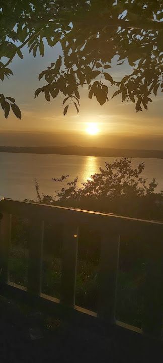 Fotoğraf 29