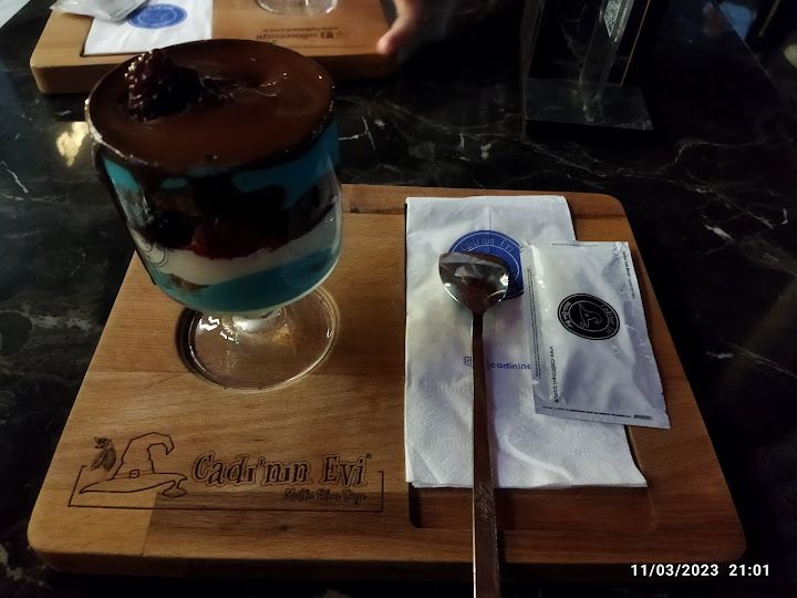Fotoğraf 41