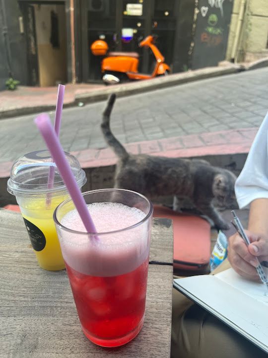 Fotoğraf 29
